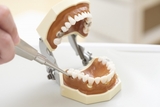 牙醫師學經歷